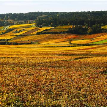 Château de Semur-en-Auxois